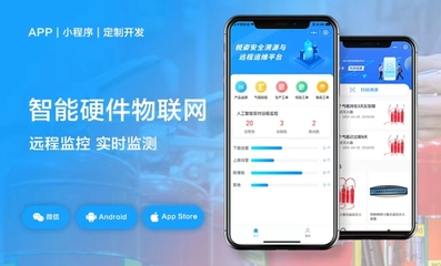 产品型网站建设公司网页设计O2O软件系统定制小程序APP开发